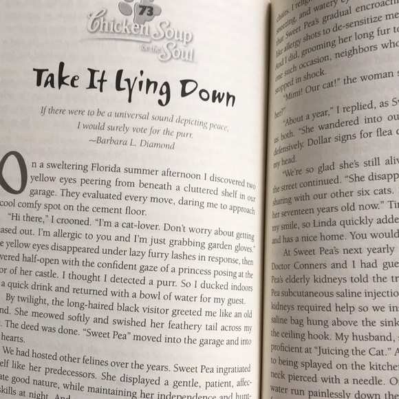 2/$10 Chicken Soup For The Soul | What I Learned From the Cat | 101 Stories - Picture 10 of 10